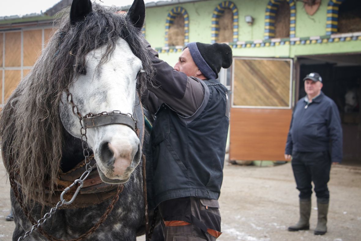 Foto: AA/Mihad IriÅ¡kiÄ iz Prnjavora ranÄ "Zelena dolina" osnovao je prije 36 godina