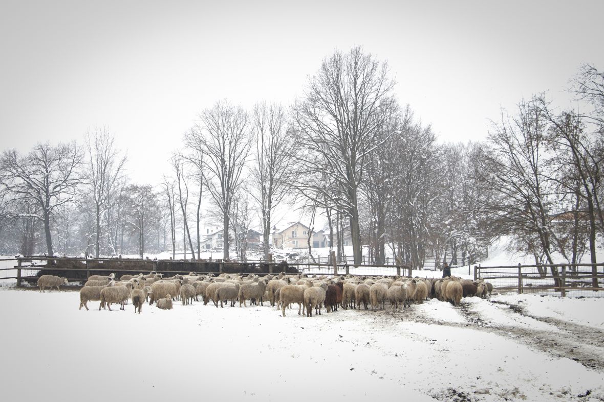 Foto: AA/Mihad IriÅ¡kiÄ iz Prnjavora ranÄ "Zelena dolina" osnovao je prije 36 godina